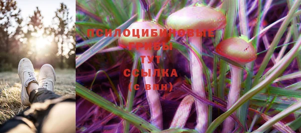 мескалин Арсеньев